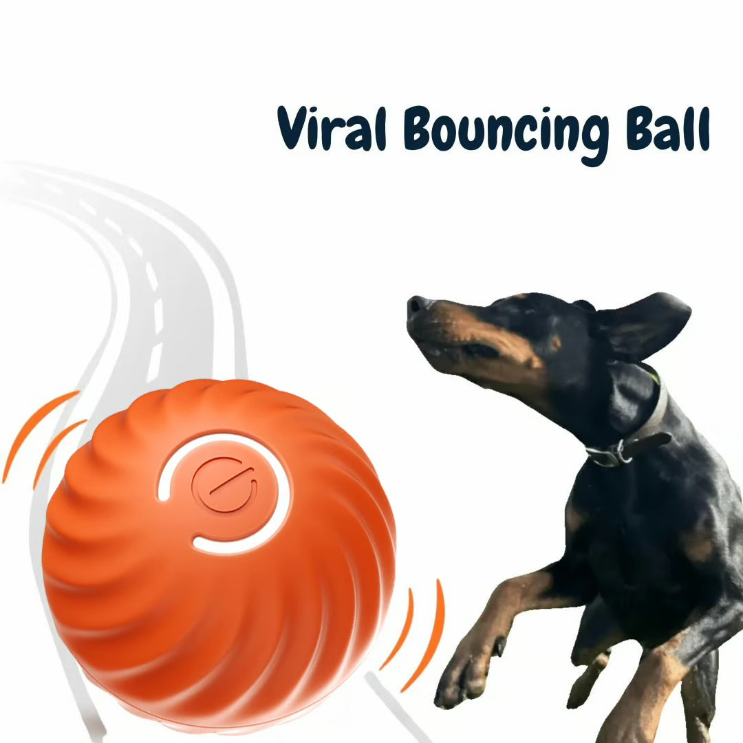 Bouncing Ball Dog Toy